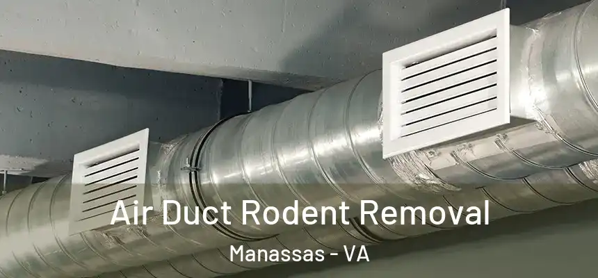  Air Duct Rodent Removal Manassas - VA