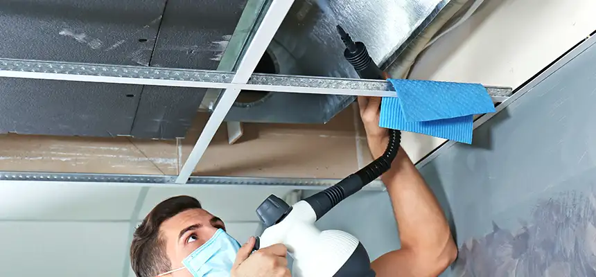 Our Air Duct Rodent Removal Services in Manassas, VA