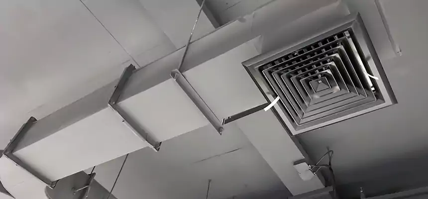 Restorative Allergy Relief Vent Cleaning – Coil, Blower & Housing Detail in Manassas