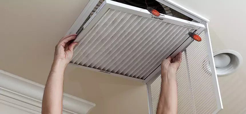 Our Insect Removal from Air Ducts Services in Manassas, VA