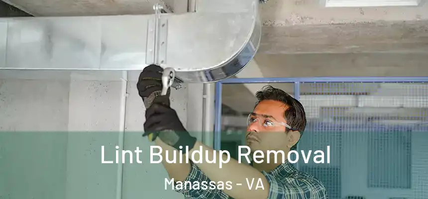  Lint Buildup Removal Manassas - VA