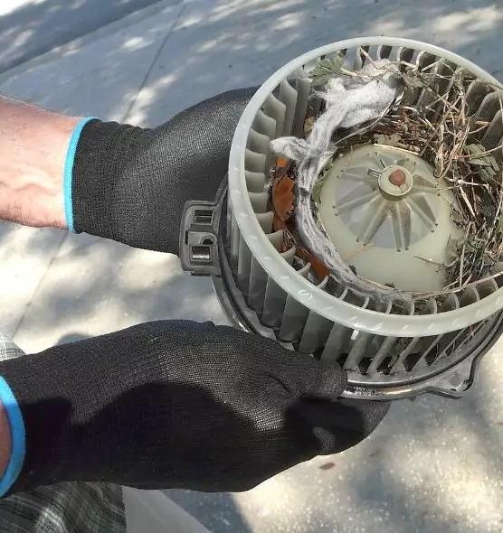 About Air Duct Mice Removal in Manassas, VA