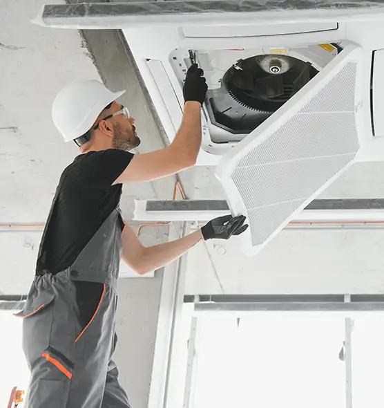 About Air Duct Rodent Removal in Manassas, VA