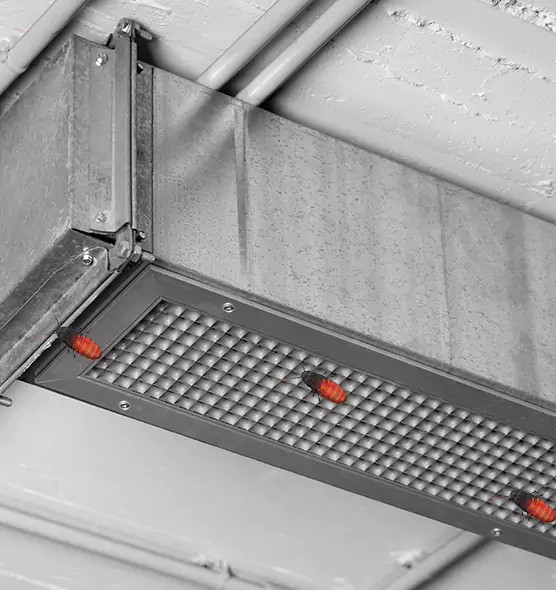 Affordable Insect Removal from Air Ducts in Manassas, VA