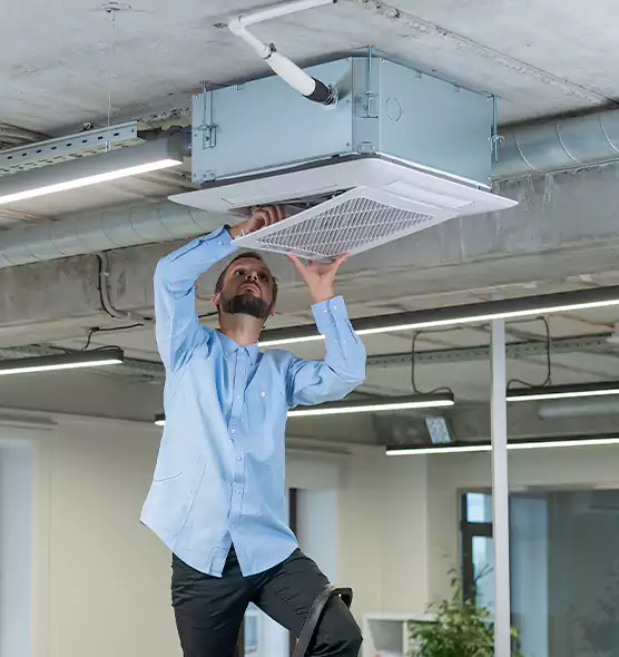 Advanced Rodent Droppings In Vents in Manassas, VA