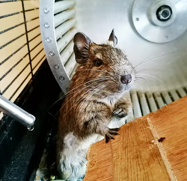 Why Homeowners & Businesses Trust Us Manassas, VA?